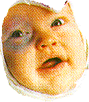Foto Paai